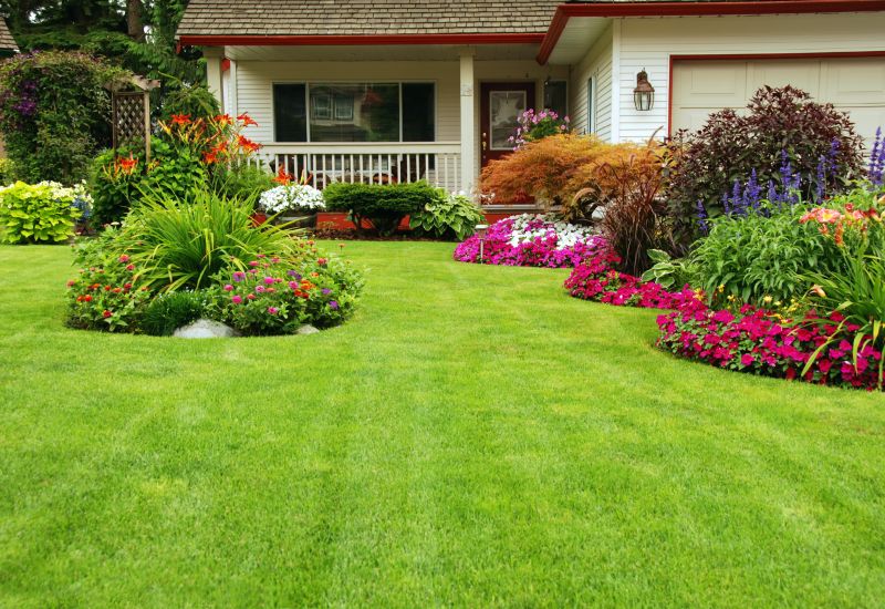 Front Yard Improvement