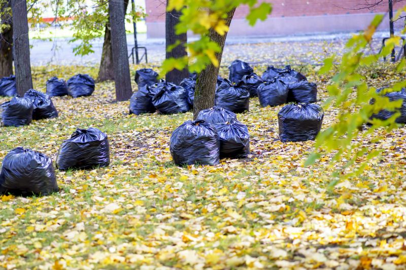 Leaves Being Disposed