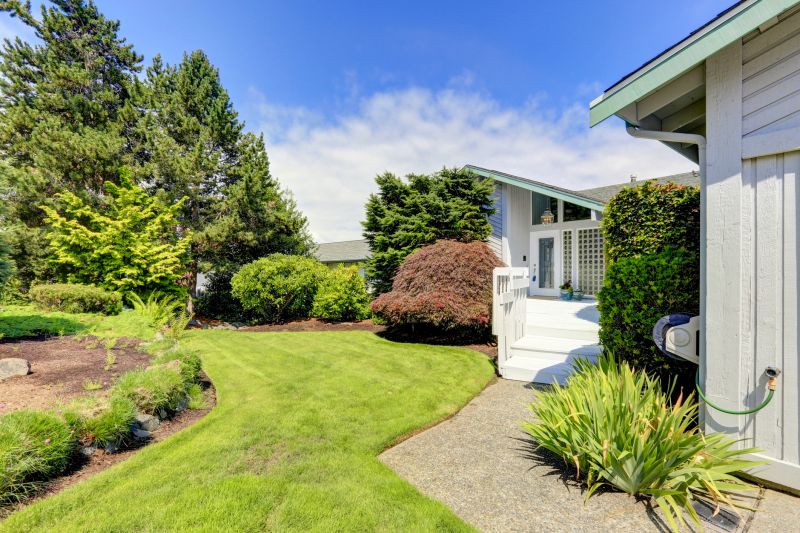 Front Yard Improvement